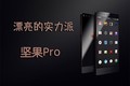 热点科技:漂亮的实力派 坚果Pro手机快评