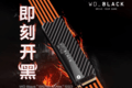 WD_BLACK SN750 NVME SSD̿
