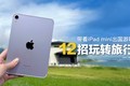 iPad miniȥе12淨