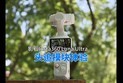 Insta360 Luna Ultra头追模块体验