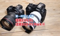 һʱ֣EOS R1EOS R5 Mark II