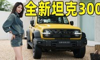 ʵ��ȫ��̹��300��ֵ������