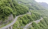 һ������08���з�����