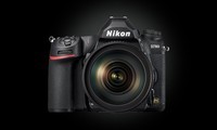 尼康D780全画幅单反相机，适合入门全幅用户