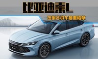  BYD Qin L Finally Meets, Can We End the Joint Venture Rule