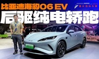 ǵϺ06 EV10Ԫ
