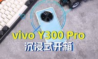 vivo Y300 Proʽ䣺΢ֵܶ