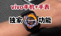 vivo̬ҹܣvivoֻWatchGT