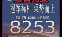 ���� 8253 �������߹��������� D9 �����˸߶� MPV �г�