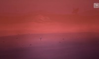 ID Xbox Showcase