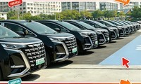 ������������ƣ�APEC������ǿ���ڣ����ƻ���������ʽ����