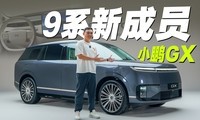 9ϵSUV�г��������ͽ���������С��GX
