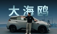 ������˵���项��Ÿ��������¿����Щ������
