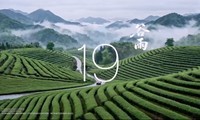 ���������콢�ҽ�ȫ������