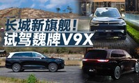 �������콢���Լ�κ��V9X