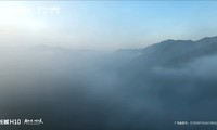 ����H10������Ԥ�۷�����