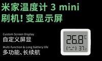 ˢ죡׼¶ȼ3?miniȫǱ