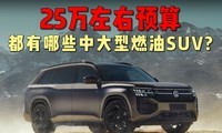 25���������ȼ���д��� SUV ���̵㣬��ȱ����ʵ˵���򳵲��ȿ�