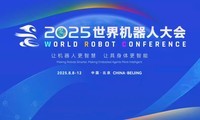 2025˴