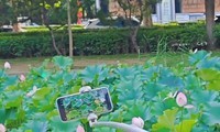 ��Ψ˹�Զ��������ĸˣ���ؾ������żܣ�����������ĸ�