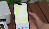 ʽ䣡