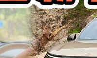 ȫ������L9 livis��һ��һ����֨����