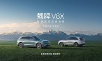κ��V8X���з�����
