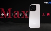 С��17 Maxȫ��������Ӽ��жȣ��������ʵ�����콢��