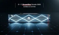 ΪһOceanStor Dorado 3000ںȫ