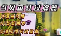  Fish tank filtration system transformation, start lazy fish farming mode
