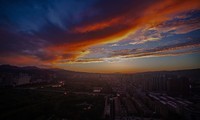 260829 ��ϼ