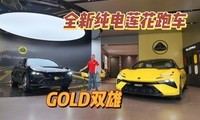��Ʒ���������������ܳ�Emeya&Eletre900 GOLD
