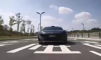 ��ά��������ը������ΪǬ���Ǽ��컨��