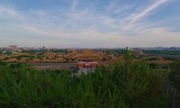 DJI Pocket 4P����ʵ����Ƭ