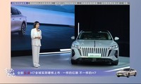 ����H7�������з�����
