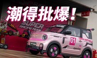 4.6��ļ�����è��������С���ʧȥ�ֿ�����