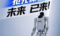 ��ԪT1�������������飺δ����������