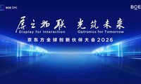 ������ȫ���»����2026