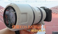 ����EOS R8 Mark II������Ƭ