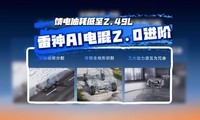 ͺ2.49LAI2.0ף켼AIʱ