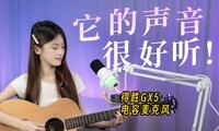 ƽ��USB������˷磬��ʤGX5/GX3ֱ����K¼����˷���������