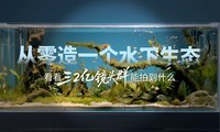 ������һ��ˮ����̬��������2�ھ�ͷȺ���ĵ�ʲô