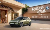 ��������T1���з�����