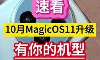 �ٿ���10��MagicOS11����������Ļ����𡭡�