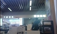 �����ӡ�������ŵ������