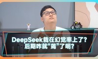DeepSeekڻþˣզ͡衱أ