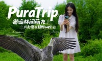 �����ּ����ѣ�����������Ұ���٣�