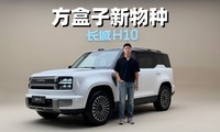 ���������������� ��������콢����H10
