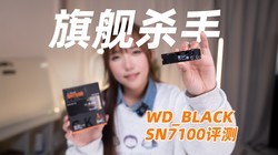 WD_BLACK SN7100̬Ӳ