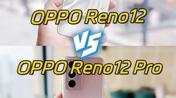 OPPO Reno12OPPO Reno12 Pro˭ֵ